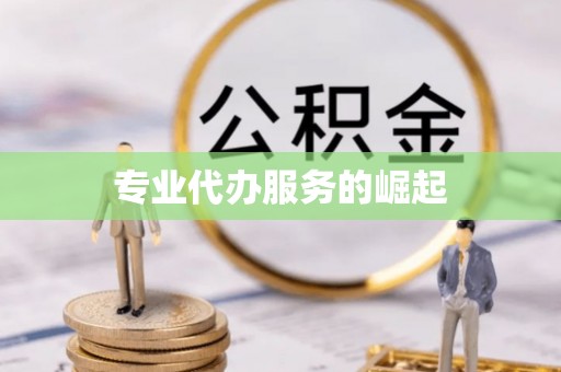 宁阳专业代办服务的崛起