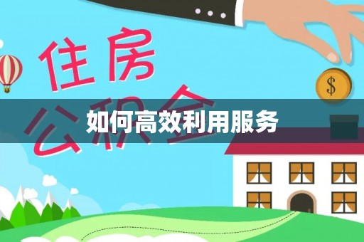 宁阳如何高效利用服务