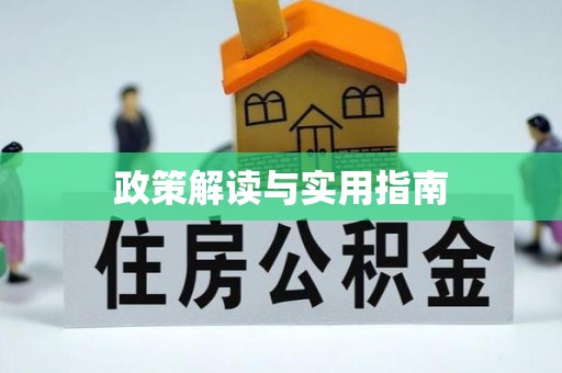 宁阳政策解读与实用指南