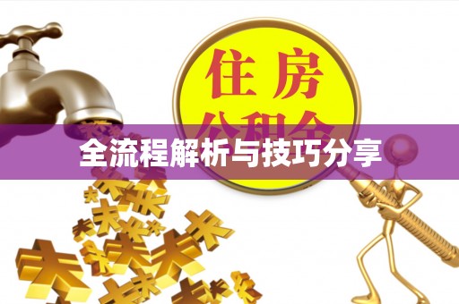 宁阳全流程解析与技巧分享